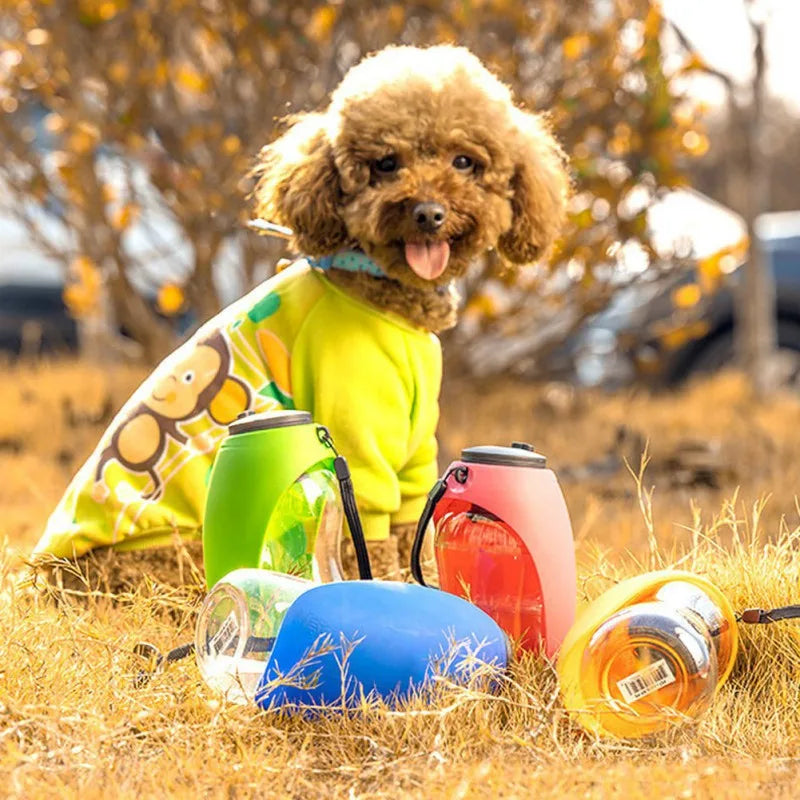 Pet Drinking Water Bottle